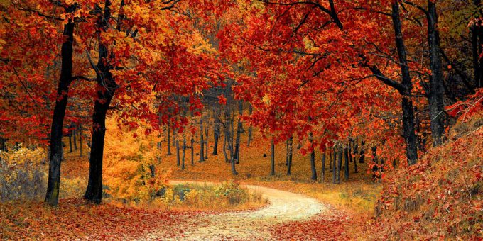 park-road